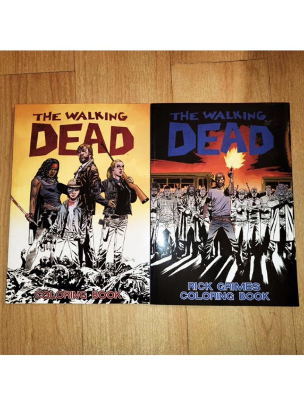 Walking Dead Adult Coloring Books Lot 2 Rick Grimes Michonne Comic Art NEW